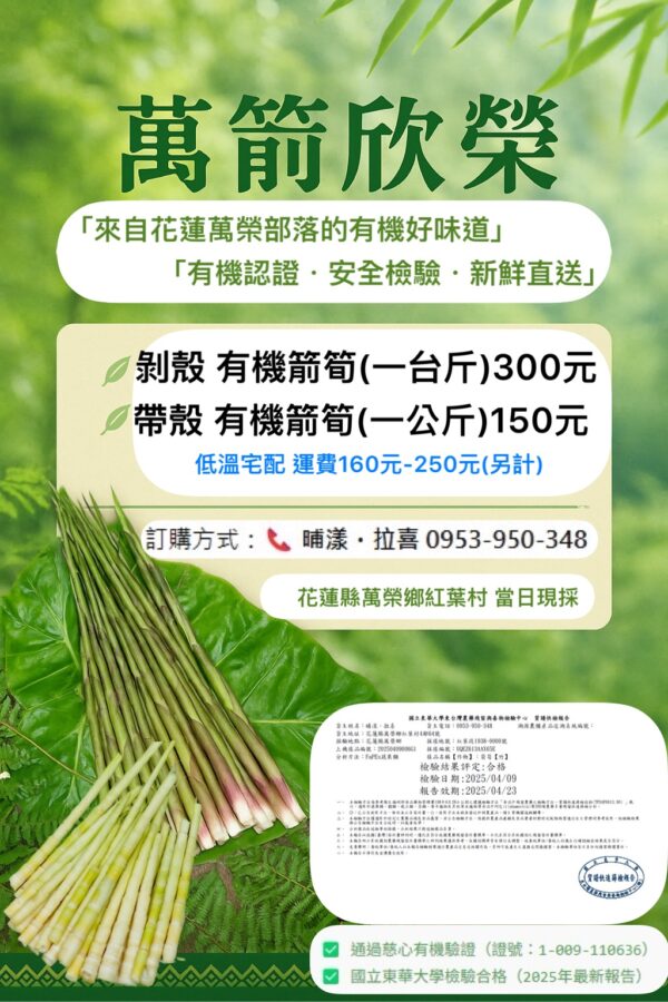 箭筍-萬榮鄉